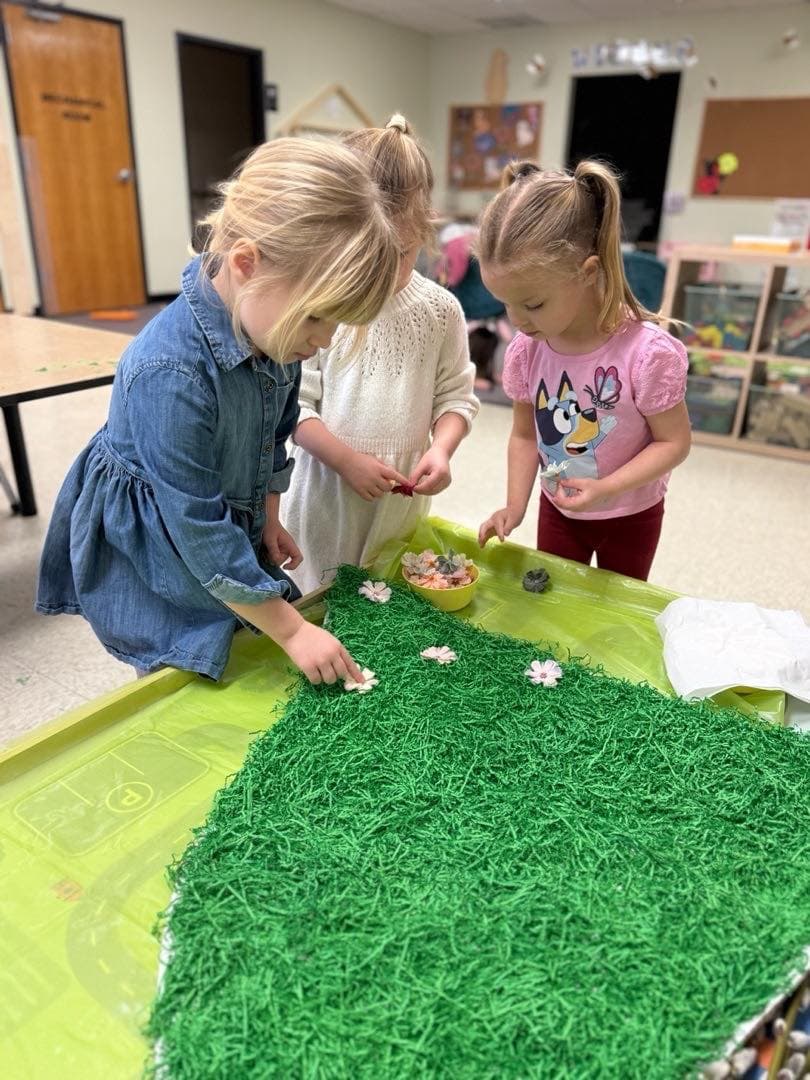 Art activities